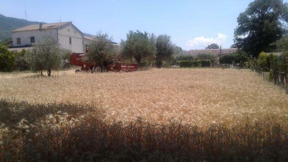 Agriturismo Tre Santi Villa Padula Exteriör bild